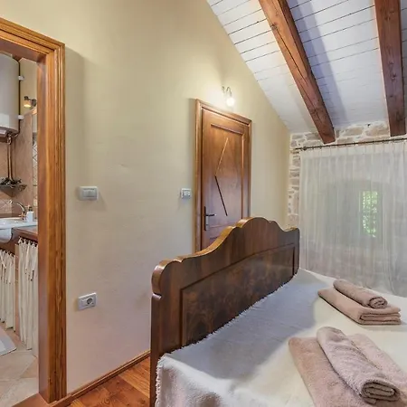Charming Stone Pakich With Private Pool 别墅 Jakici